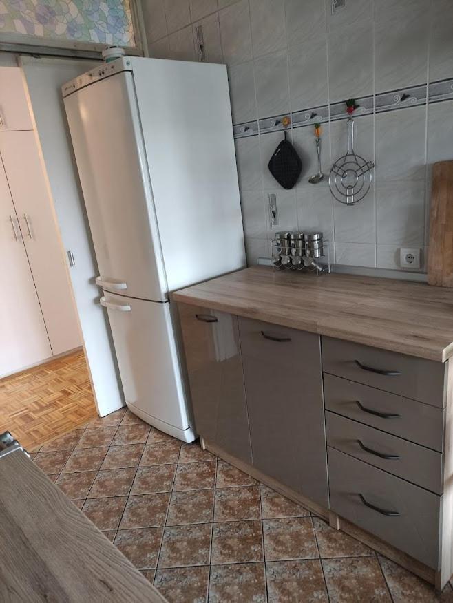 Appartamento Aurora Belgrado